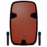 בידורית קריוקי Pure Acoustics PMW-3015 כולל זוג מיקרופונים