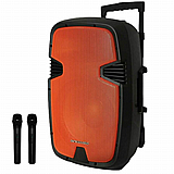 בידורית קריוקי Pure Acoustics PMW-3015 כולל זוג מיקרופונים