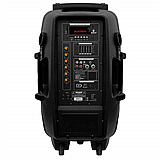 בידורית קריוקי Pure Acoustics PMW-3015 כולל זוג מיקרופונים