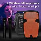בידורית קריוקי Pure Acoustics PMW-3015 כולל זוג מיקרופונים