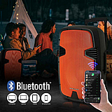 בידורית קריוקי Pure Acoustics PMW-3015 כולל זוג מיקרופונים