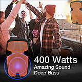 בידורית קריוקי Pure Acoustics PMW-3015 כולל זוג מיקרופונים