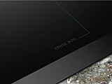 ������ ��������� MULTIZONE ��� EIS62450 ���������� Electrolux ���� ���� 60 �