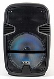 מערכת קריוקי ניידת 12 אינץ' RichTech RT12